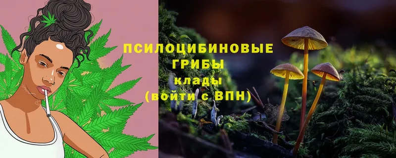 где продают   Ковров  Галлюциногенные грибы GOLDEN TEACHER 